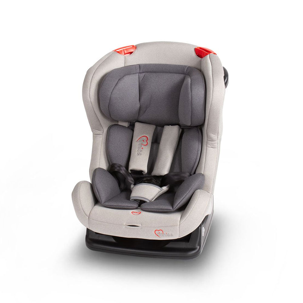 GREY CONVERTIBLE CAR SEAT
