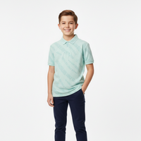 Boys Graphic Print Polo Shirt in Pastel Mint Zubaidas - View 1