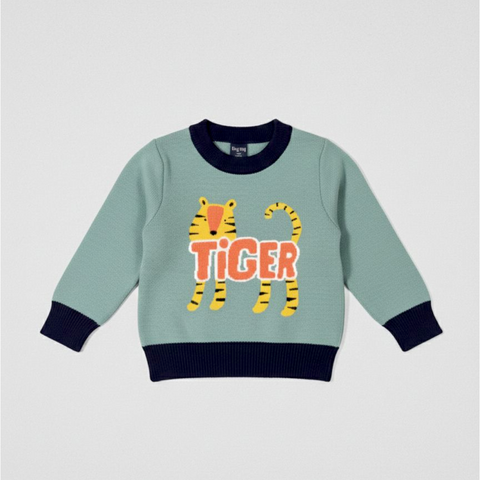 Boys Full Sleeves Sweater Zubaidas
