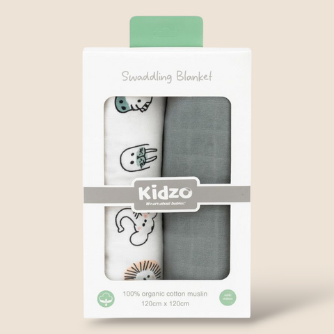 2-Pack Swaddle Blanket Printed